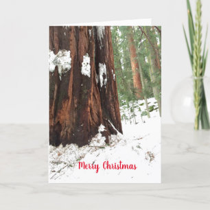 Carte Sequoia Joyeux voeux de Noël