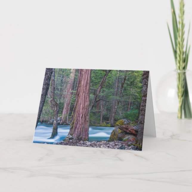 Carte Sequoias & Merced River Yosemite National Park, CA (Devant)