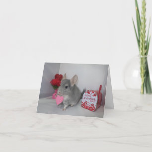 Carte Seras-tu ma chinchilla de Saint-Valentin ?