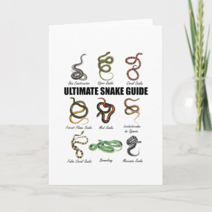 Carte Serpent Enfants Serpent éducatif Zookeeper Reptile