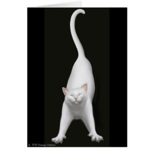 Carte s'étendante heureuse de chat