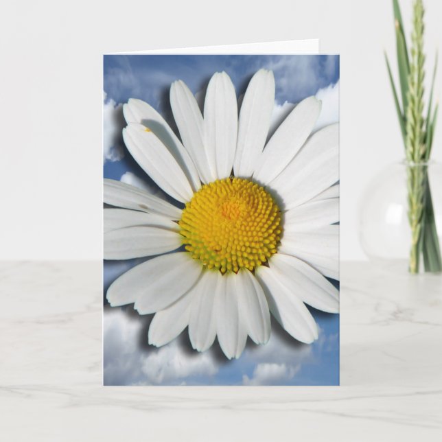 Carte Seulement une fleur de marguerite des prés + votre (Devant)