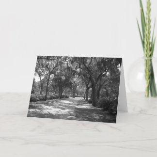 Carte Shade 'nev Spanish Moss