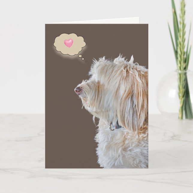 Carte Shaggy Poodle Portrait Penser à vous (Devant)