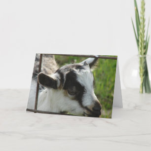 Carte Shamrock