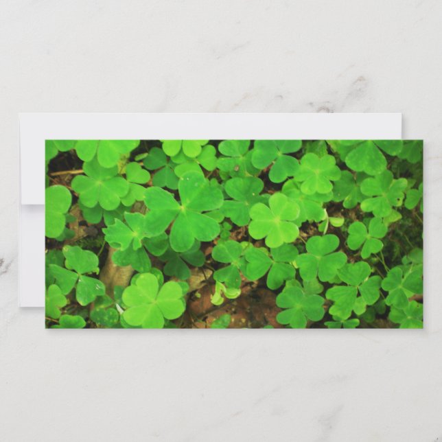 Carte Shamrocks sauvages (Devant)