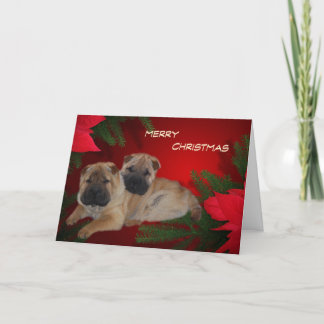 Carte Shar Pei Puppies Poinsettia