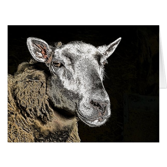 CARTE SHEEP (Devant horizontal)