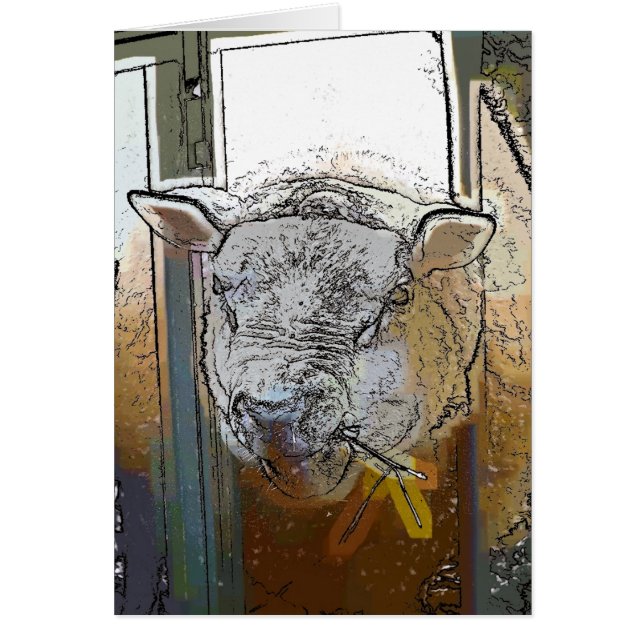 Carte SHEEP (Devant)