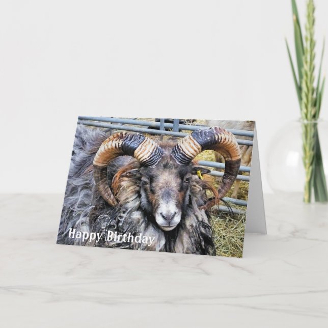 CARTE SHEEP (Devant)