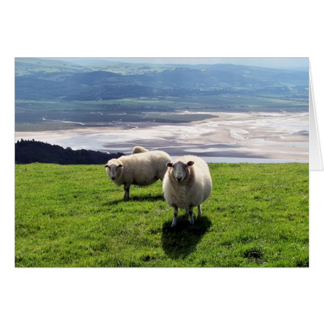 CARTE SHEEP DE MONTAGNE BIEN-ÊTRE (Devant horizontal)