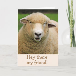 Carte Sheep Joke Classic Humour Se Bien