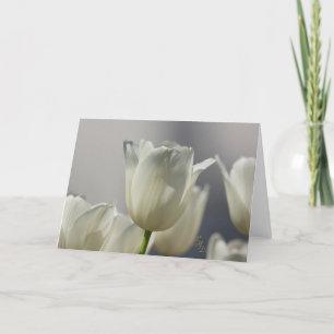 Carte Sheer White Spring Tulips Lee Hiller Photographie