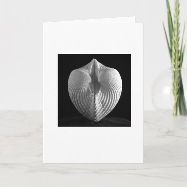 Carte Shell (Devant)