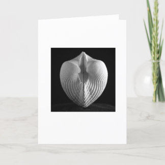 Carte Shell