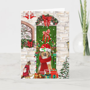 Carte Sheltie Chien Noël