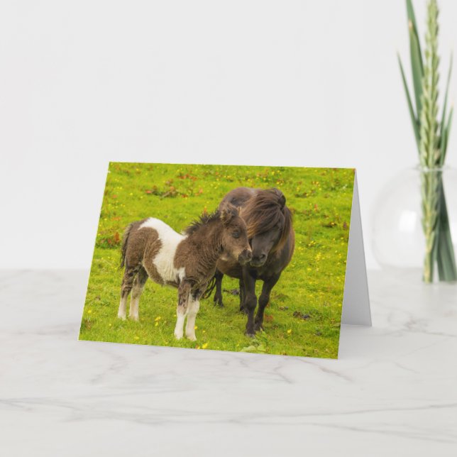 Carte Shetland Pony mère et progéniture (Devant)