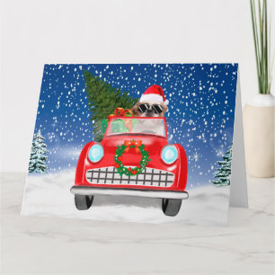 Carte Shih Tzu Chien Voiture De Conduite En Neige Noël