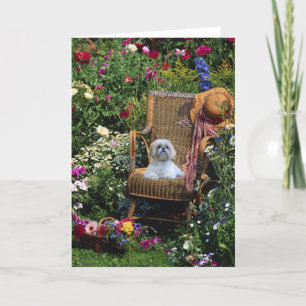 Carte Shih Tzu Garden Card