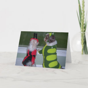 Carte Shih Tzu Halloween Costume Greeting Card