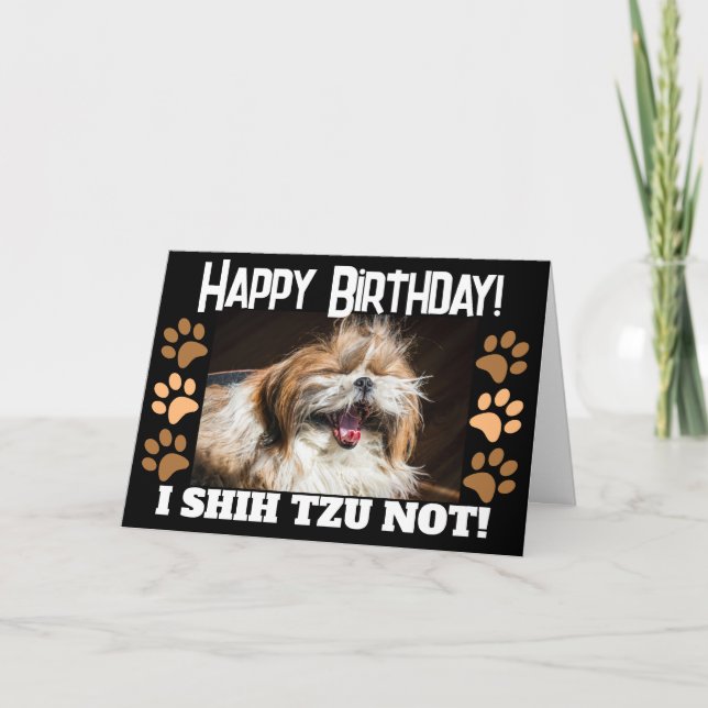 Carte Shih tzu pas rire amusant Joyeux anniversaire Salu (Devant)