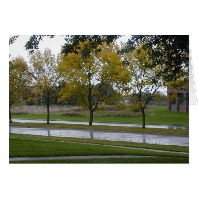 Carte Shiny Boulevard (Devant horizontal)