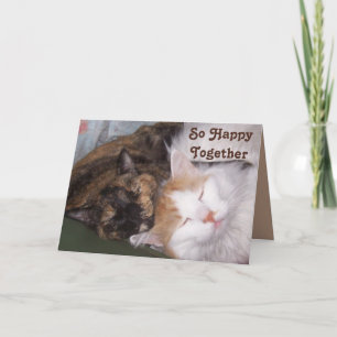 Carte Si Heureux Ensemble Deux Cats De Contenu Anniversa