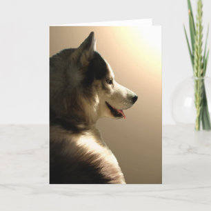 Carte Siberian Husky Card / Alaskan Malamute Card