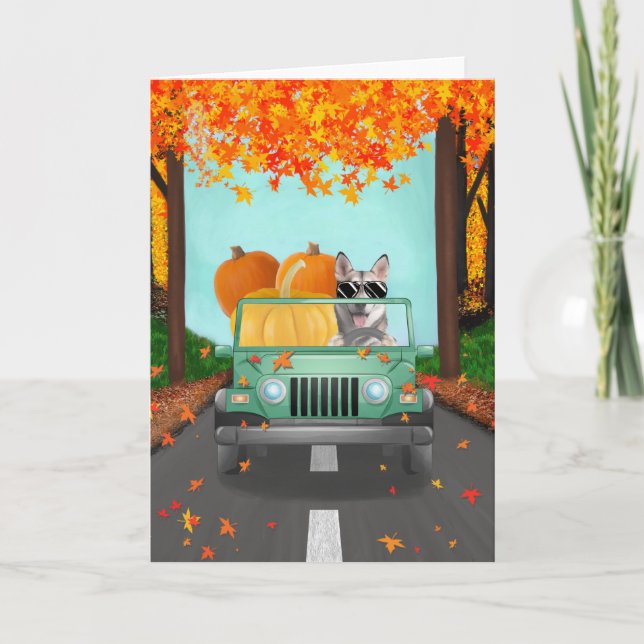 Carte Sibérie Husky Chig Citrouille Automne (Devant)