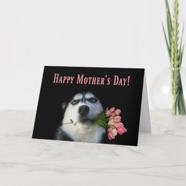 Carte Sibérie Husky et Tulipes Bonne Fête des Mères (Devant)