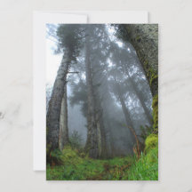 Signature : Matte 5" x 7", enveloppes blanches sta