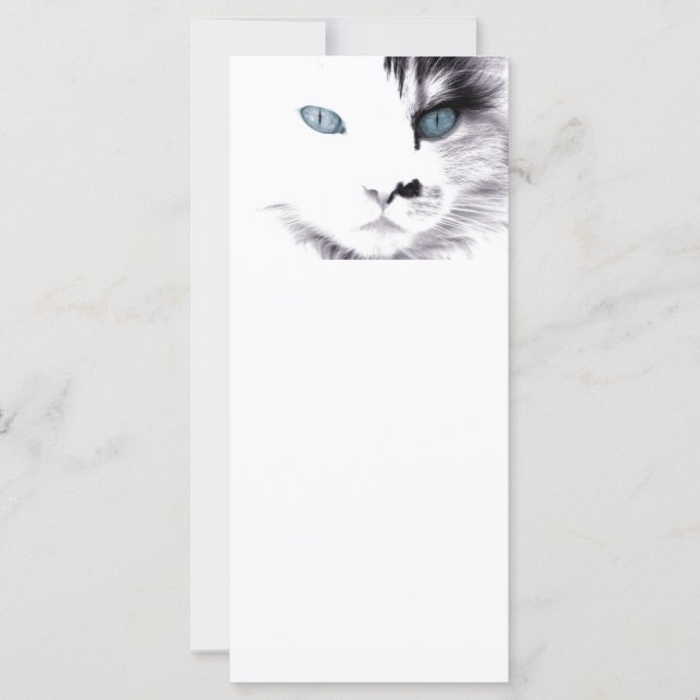 Carte Signet de chat bleu (Devant)