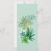 Signet Succulent