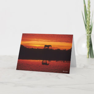 Carte Silhouette du Cheval contre le ciel couché de sole