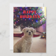 Carte simple Bold Happy Holidays