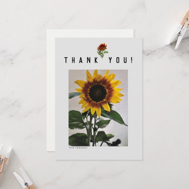 Carte simple de tournesols  81724 (Devant/Arrière en situation)