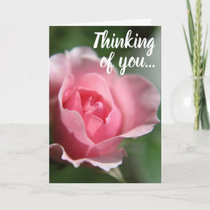 Carte Simple Pink Rose Thinking of You Card