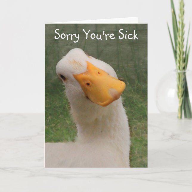 Carte Sincere Goose se porte bien (Devant)