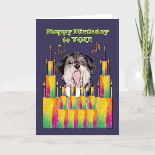 Carte Singing de Dog Birthday (Devant)