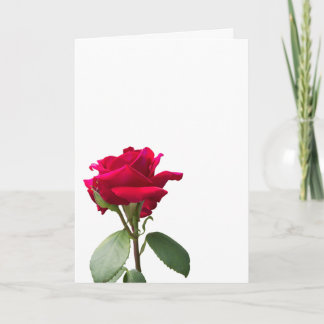 Carte Single red rose