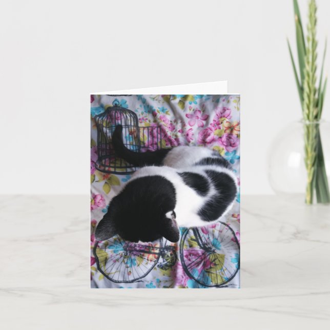 Carte Sitting Pretty Kitty Notecard (Devant)