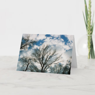 Carte Skies du centre-ville