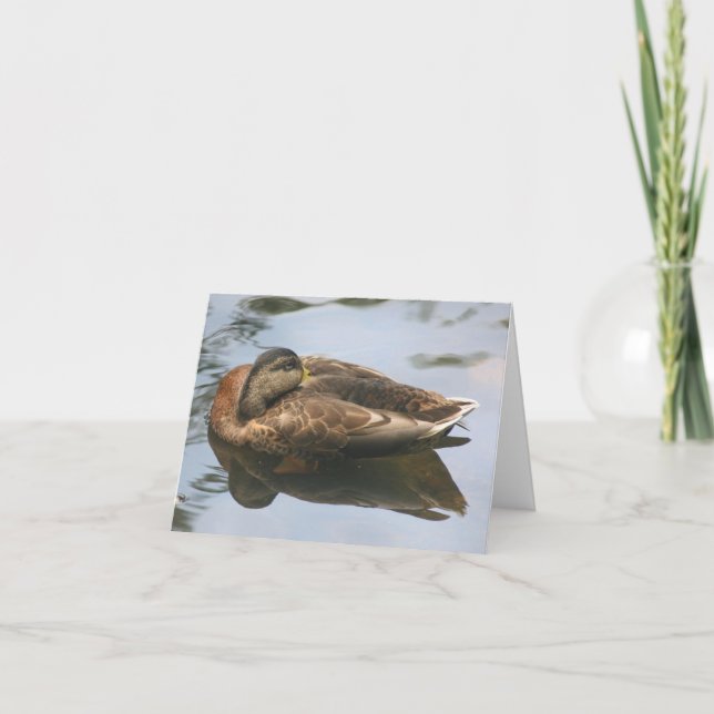 Carte Sleepy Duck Nature Photography Note (Devant)