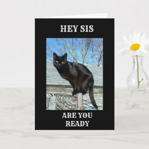 CARTE SMARTY PANTS CHAT NOIR POUR L'ANNIVERSAIRE DE LA S
