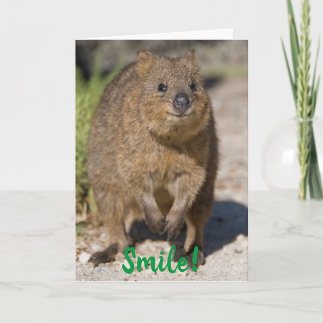 Carte Smile / Se Bien Bientôt, Happy Quokka, Australie (Devant)