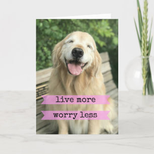 Carte Smiling Golden Retriever Chien Vivre Plus Inquiète