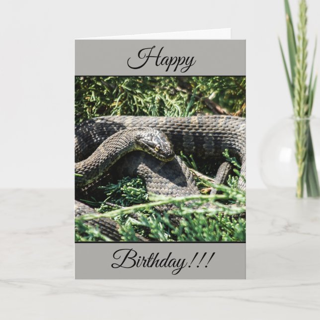 Carte Snake Anniversaire Personnalisée (Devant)