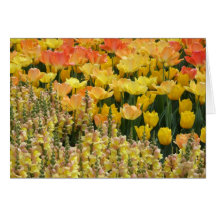 Carte Snapdragons