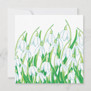 Carte Snowdrops de printemps