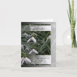 Carte Snowdrops symbolisme et info